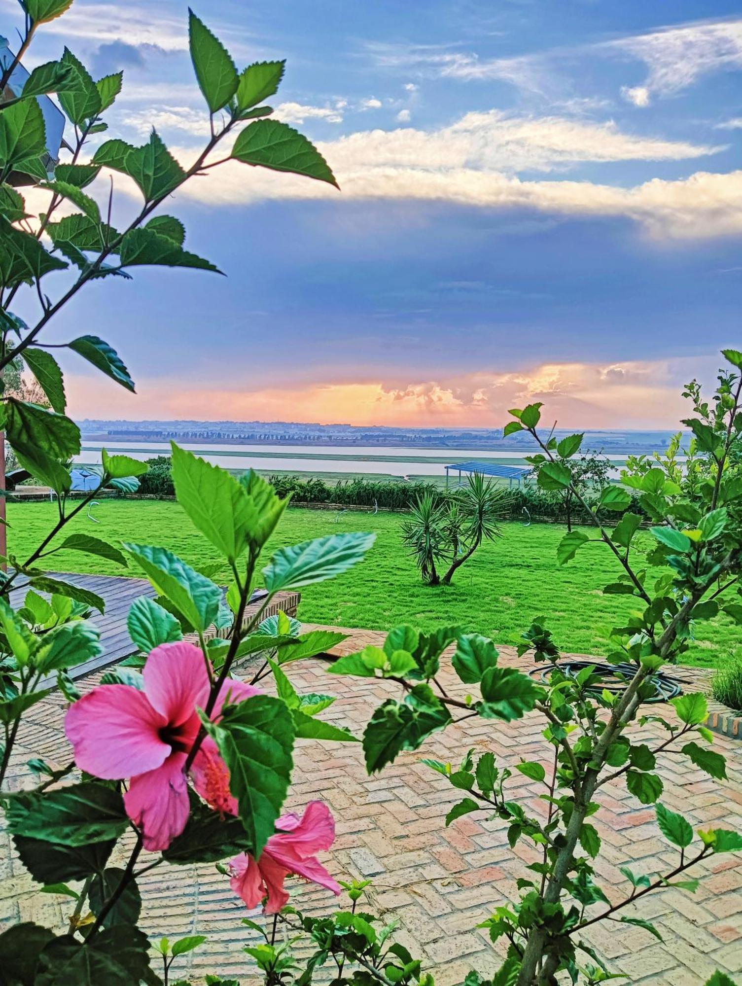 Finca Mis Morenas Палос де ла Фронтера Екстериор снимка