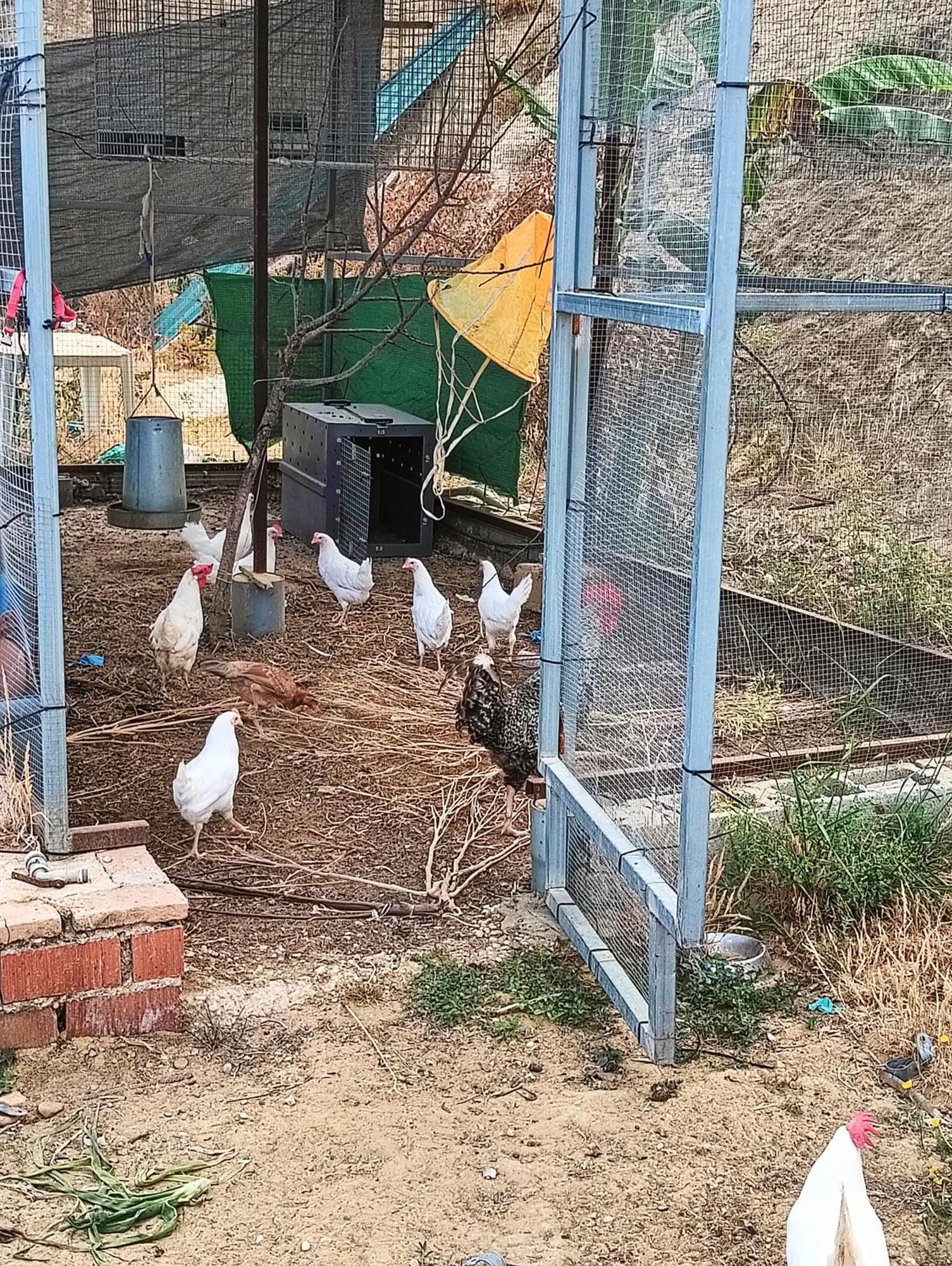 Finca Mis Morenas Палос де ла Фронтера Екстериор снимка
